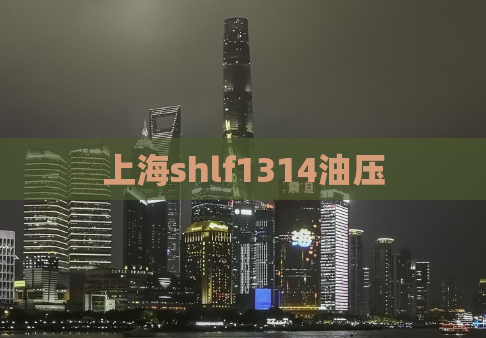上海shlf1314油压