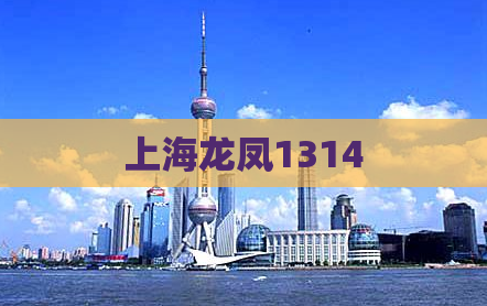 上海龙凤1314